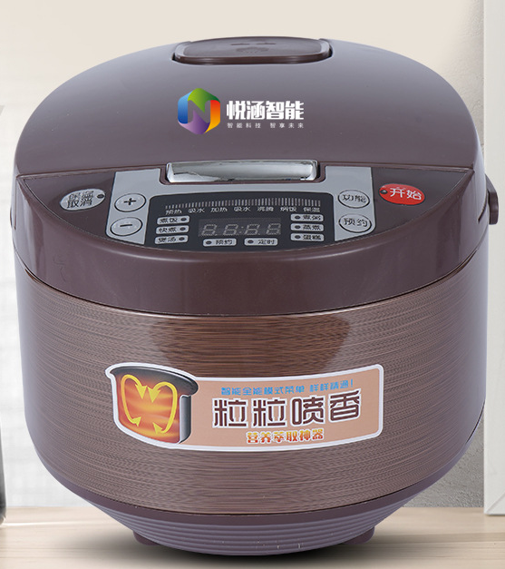 盲文语音电饭煲