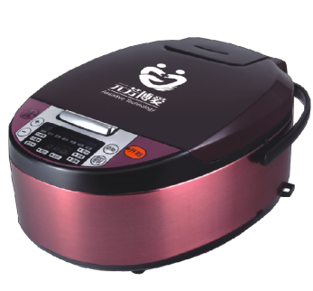 盲文语音电饭煲