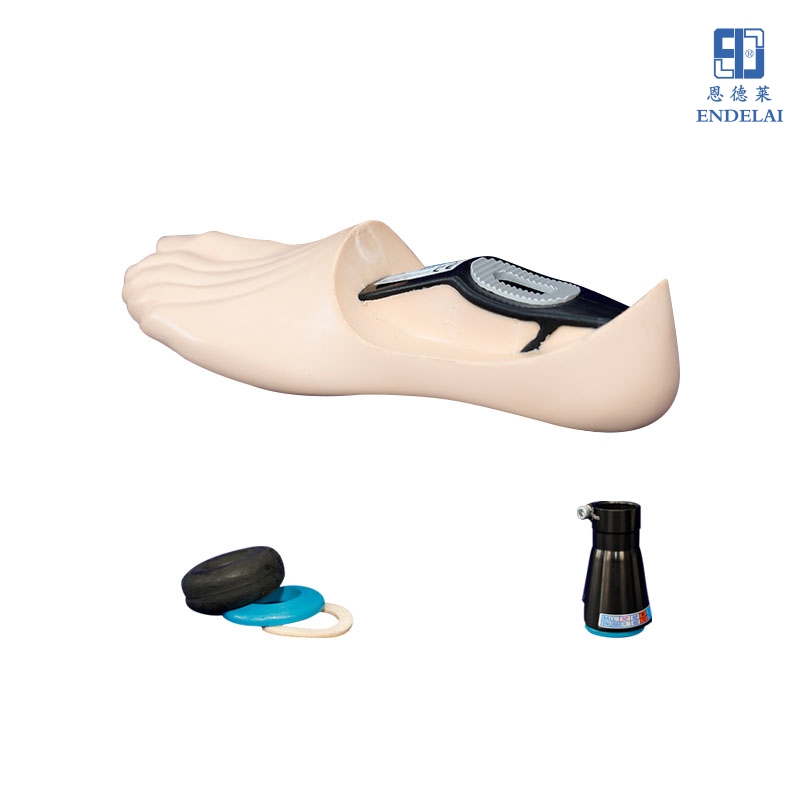 万向踝万向脚/Multiflex 