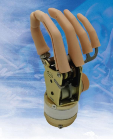 二自由度旋腕肌电手