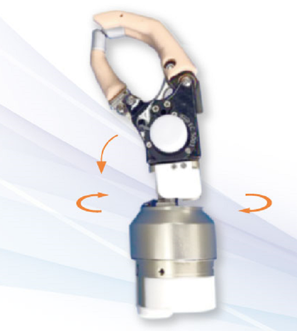 前臂三自由度肌电手