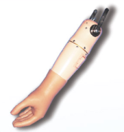 特种二自由度肌电臂