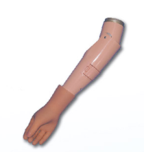 二自由度肌电臂（正装型）