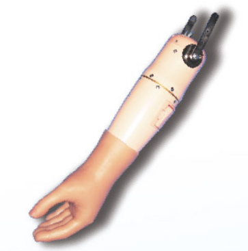 二自由度肌电臂（倒装型）