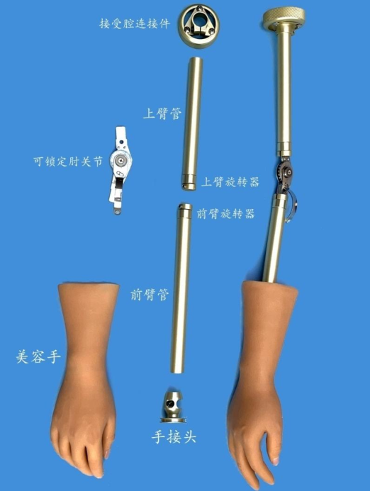 骨骼式上臂装饰假肢