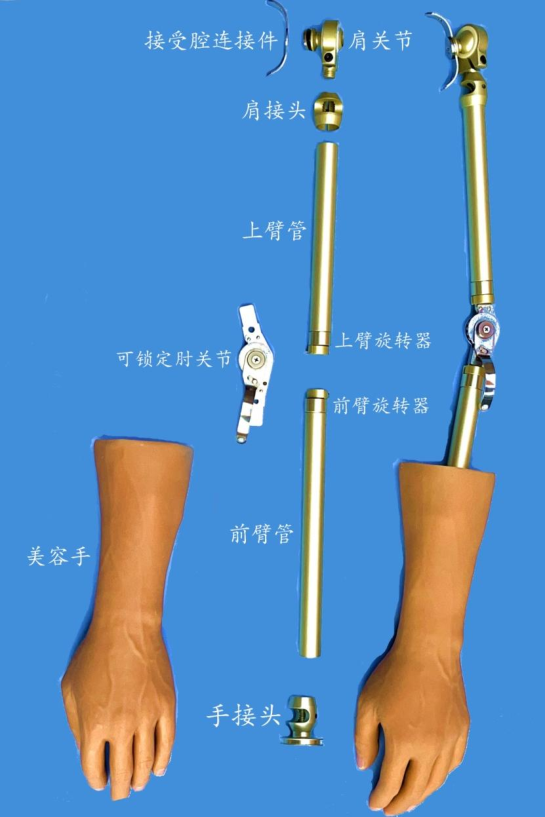 骨骼式肩装饰假肢