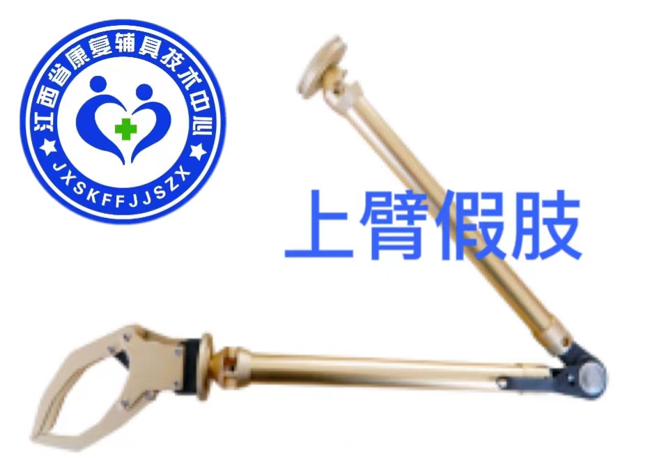 &nbsp;a上臂假肢&nbsp;