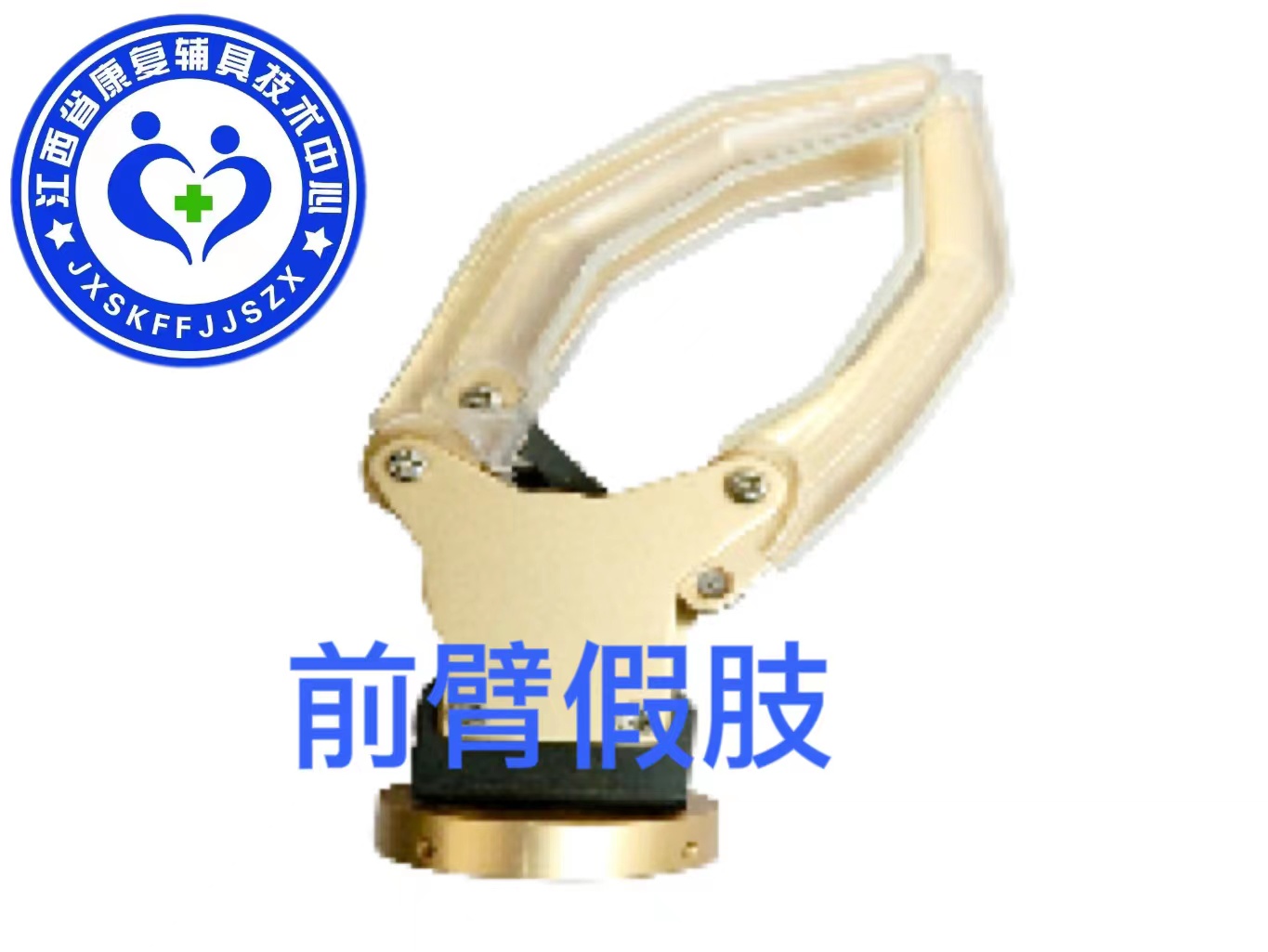&nbsp;a前臂假肢&nbsp;