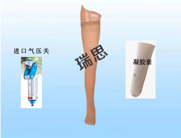 瑞思辅具&nbsp;大腿假肢（舒适款）&nbsp;定制型