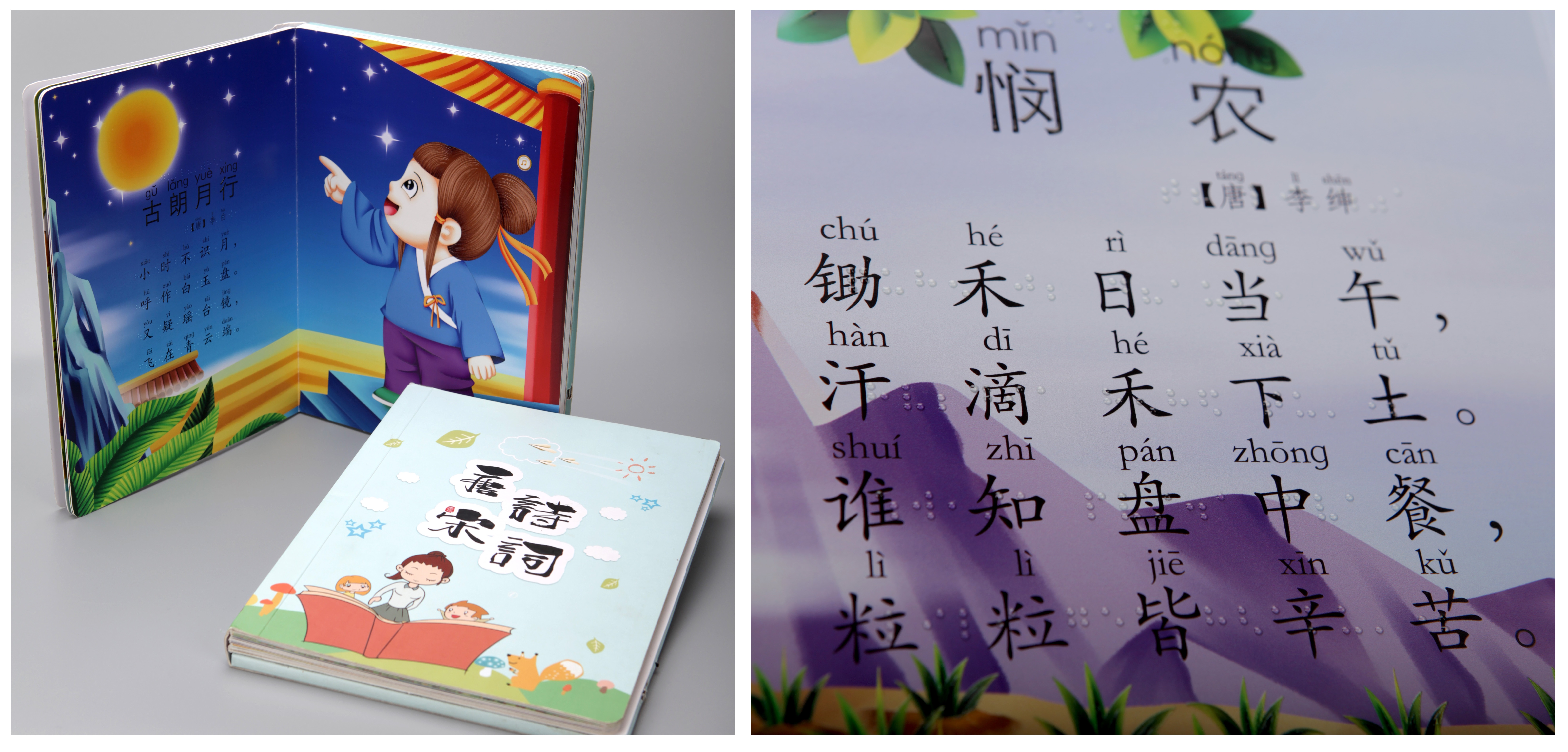 图为双视双感盲文多媒体书样书